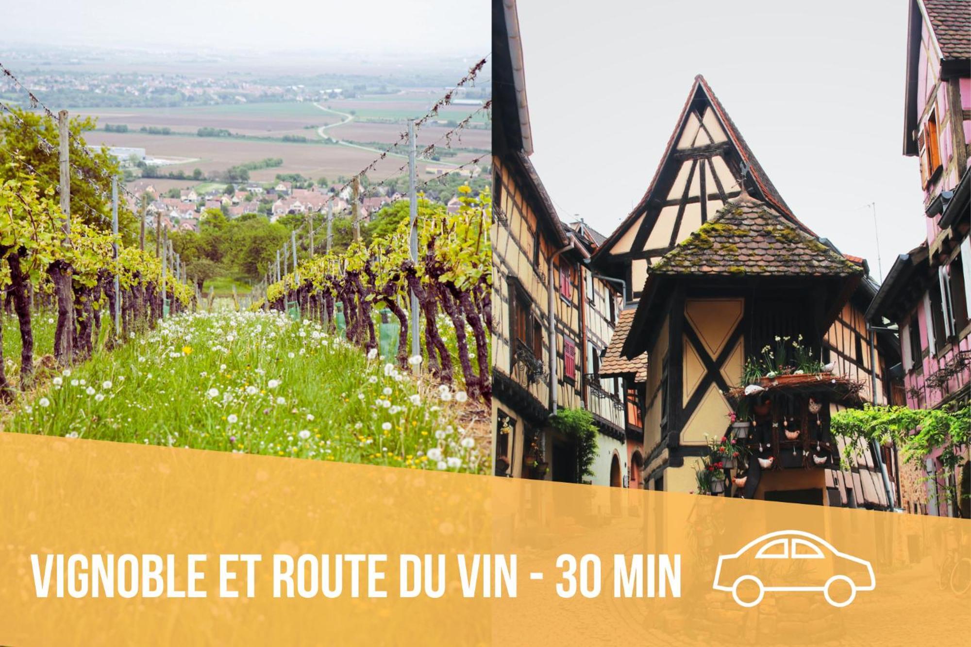 Les Pinots D'Alsace - 3 Bungalows Climatises Avec Tv - Proche Europa Park Boofzheim Oda fotoğraf